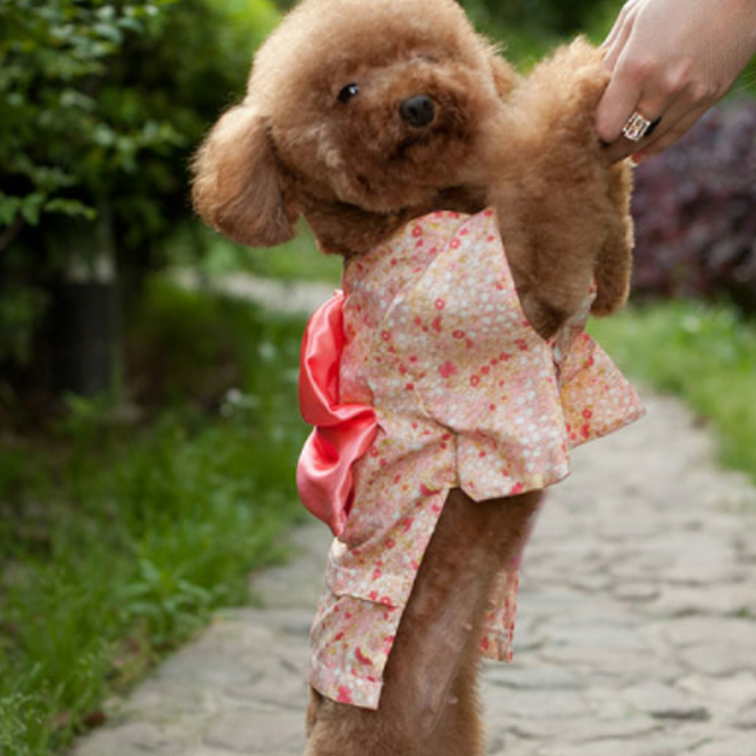 犬 服 犬服 かわいい 犬の服 浴衣 着物 春夏 小花柄 大きいリボン帯 